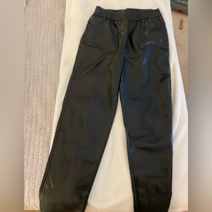 Aritzia leather pants